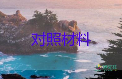 2023年個(gè)檢查對照材料精選7篇