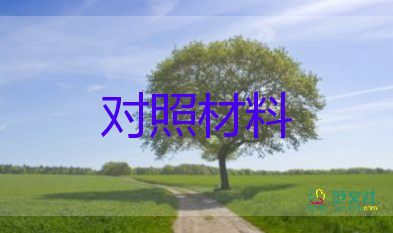 班子組織生活對照材料6篇