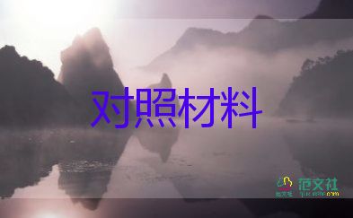 個人對照品檢查材料5篇