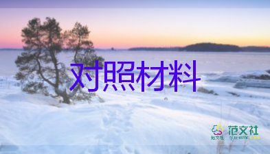 五個(gè)對照班子對照材料5篇