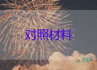 民主生活領(lǐng)導(dǎo)干部對(duì)照材料8篇