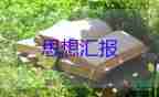 大學(xué)生未入黨思想?yún)R報最新8篇