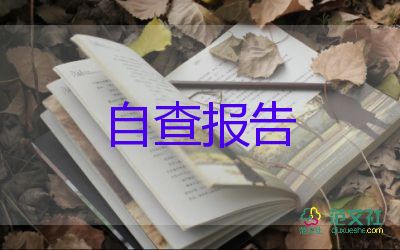 公司自查報告參考7篇