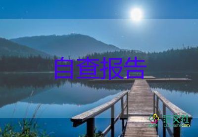 2022年村半年工作報告7篇