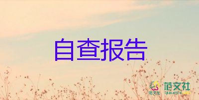 財(cái)務(wù)管理不規(guī)范自查報(bào)告7篇