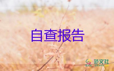 80后政府工作報告模板5篇