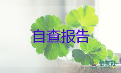 精選關(guān)于企業(yè)自查報告參考范文5篇