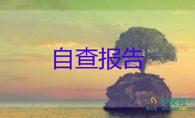 80后政府工作報告最新5篇