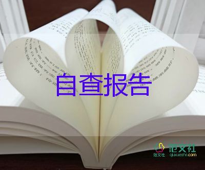 it述職報告推薦7篇