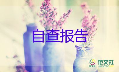 村兩委個人述職報告5篇