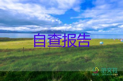 44專項整治自查報告6篇