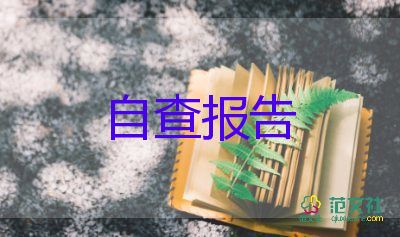 90后職場工作報告7篇