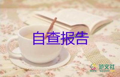 平安建設(shè)自查報告7篇