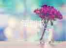 三八婦女節(jié)學(xué)?；顒臃桨覆邉?篇