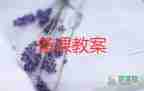 體育游戲拍皮球教案5篇