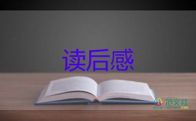 商老頭讀后感5篇