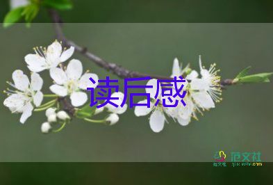 泰戈?duì)栐?shī)選的讀后感優(yōu)秀7篇
