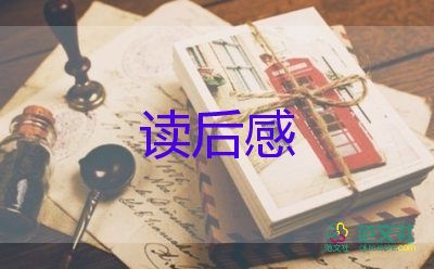 讀風(fēng)箏的讀后感6篇
