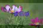 關(guān)于《傅雷家書》讀書個(gè)人感悟參考范文4篇