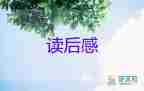 三國(guó)演義讀后感四十字8篇