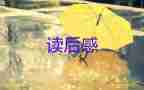 草房子的讀后感5篇