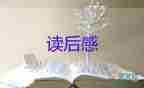 論團(tuán)隊(duì)精神讀后感7篇