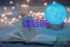 泰戈爾的家讀后感7篇