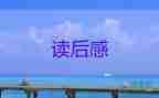 沈石溪第七條獵狗讀后感7篇