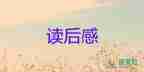 為了和平觀后感500字5篇