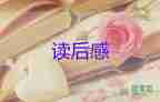 紅色經(jīng)典上甘嶺讀后感5篇