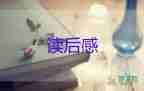 小說(shuō)線的讀后感最新5篇