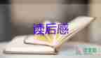 風聲的狼讀后感參考5篇