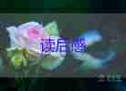 蘋果上的外婆100讀后感最新8篇