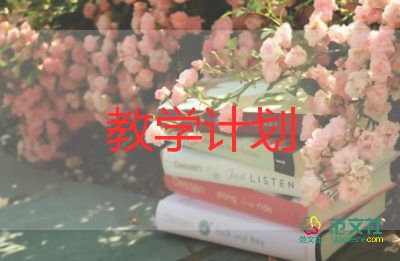 推和拉的教學(xué)反思8篇