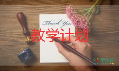 歷史教師個人教學總結范文8篇