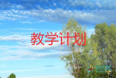 鴨子上橋教學(xué)反思5篇