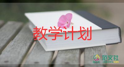 小學(xué)2023年教學(xué)計劃6篇