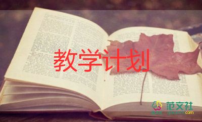 中班社會(huì)教學(xué)反思5篇