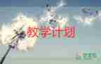 大班各領域教學計劃8篇