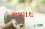 精選教學(xué)反思模板6篇