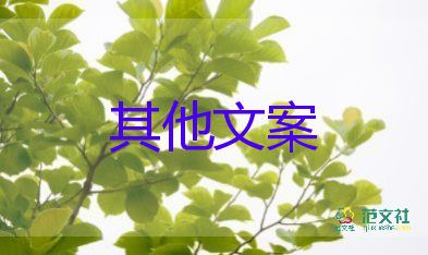 支持穩(wěn)住經(jīng)濟(jì)大盤，中國經(jīng)濟(jì)發(fā)展作文