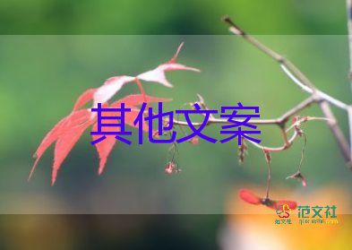 旅客坐飛機空中發(fā)現(xiàn)機翼螺絲松動，航空安全管理心得體會3篇 