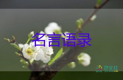 俄烏變局24小時(shí)，解密俄烏談判背后真相
