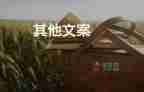 2022屆考生可參考：高考“3+1+2”模式如何選？
