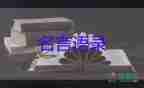 建議加大網絡暴力處罰力度，對情節(jié)嚴重的提起公訴