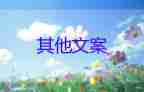唐山雷霆風(fēng)暴，開展掃黑除惡專項(xiàng)整治工作總結(jié)3篇