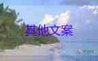 青春是永無止境的拼搏，有關奮斗青春的作文