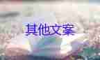 年輕人的親緣關(guān)系為何越來越淡，人際交往與溝通心得體會