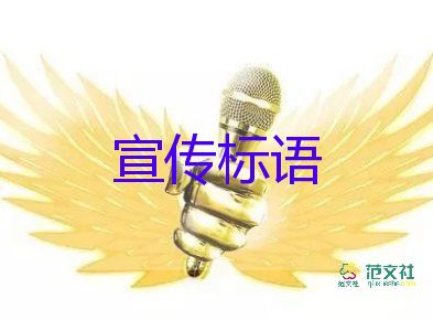“三桶油”凈利潤刷新了近幾年的記錄，中石化工作總結(jié)范文2篇