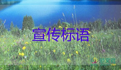 孫興慜奪英超金靴 創(chuàng)亞洲歷史，足球觀后感3篇